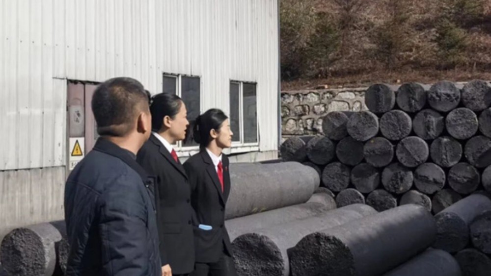 鸡西市梨树区法院：法治“碳”索护企路 司法暖流进车间