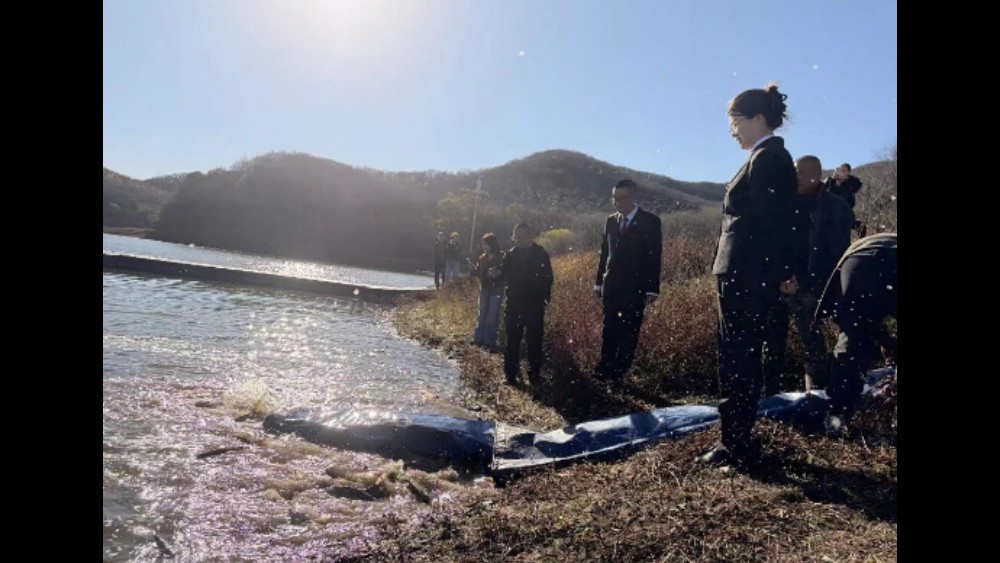 以法护碧水 放流焕生机——吉林铁路运输法院开展生态增殖放流活动