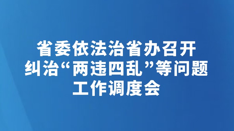 省委依法治省办召开纠治“两违四乱”等问题工作调度会