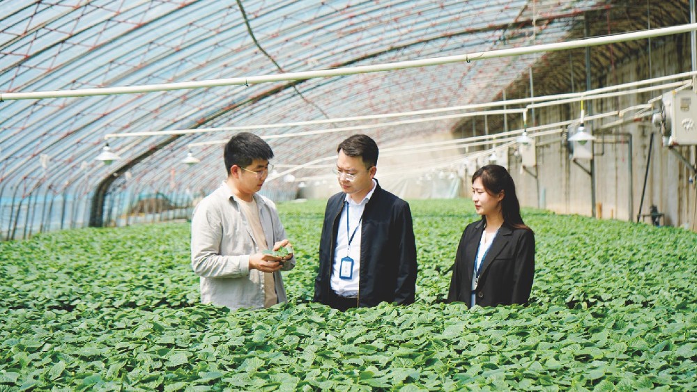 让人民群众看到新变化得到真实惠