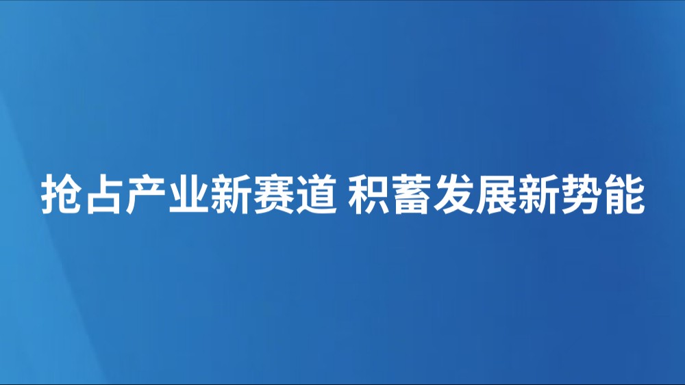 抢占产业新赛道 积蓄发展新势能