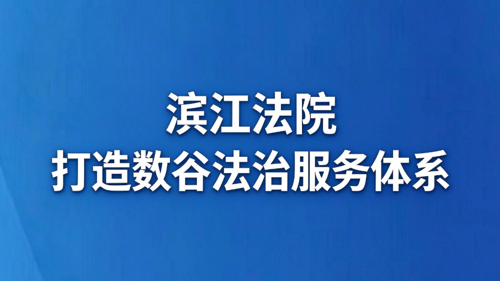 滨江法院打造数谷法治服务体系
