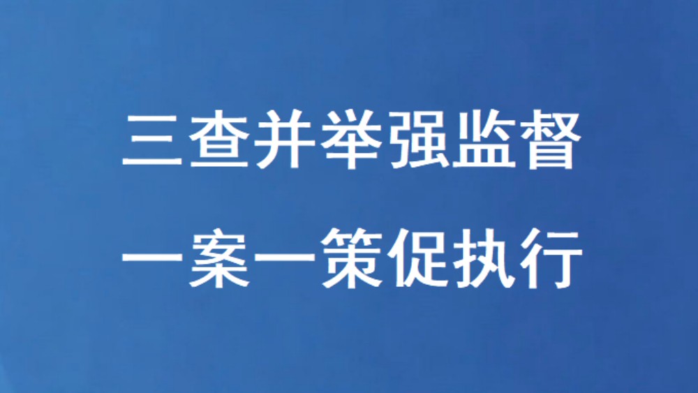 三查并举强监督 一案一策促执行