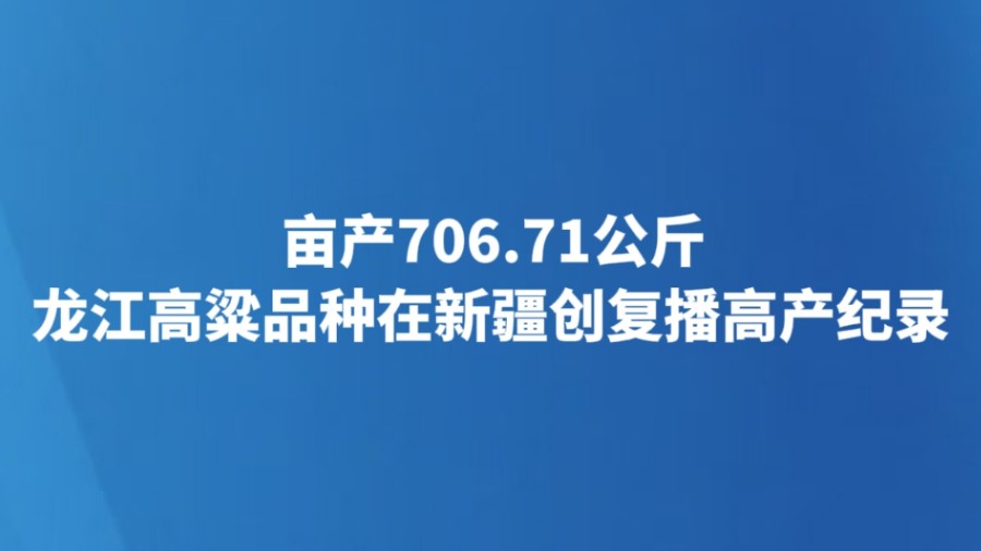 龙江高粱品种在新疆创复播高产纪录