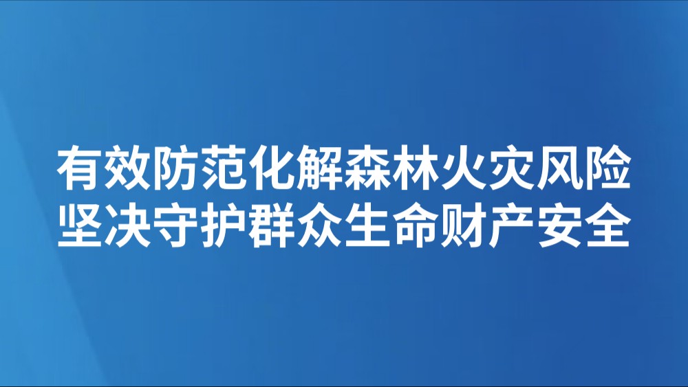 有效防范化解森林火灾风险 坚决守护群众生命财产安全