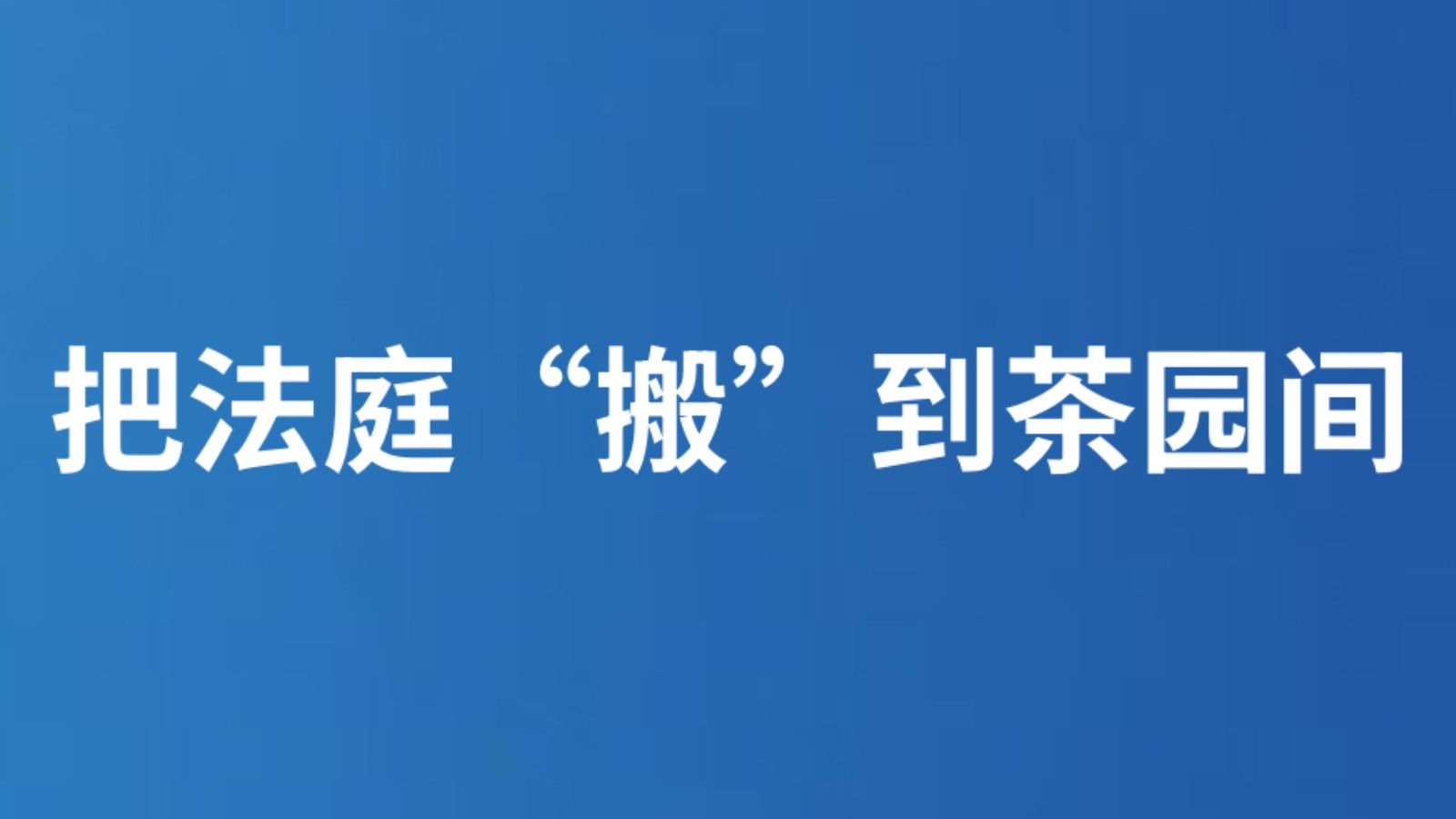把法庭“搬”到茶园间
