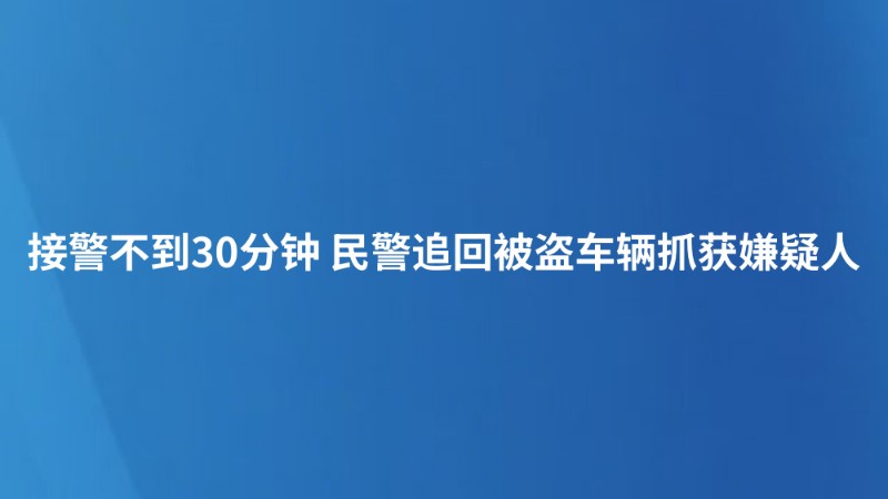 接警不到30分钟 民警追回被盗车辆抓获嫌疑人