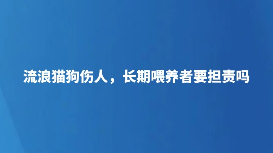 流浪猫狗伤人，长期喂养者要担责吗