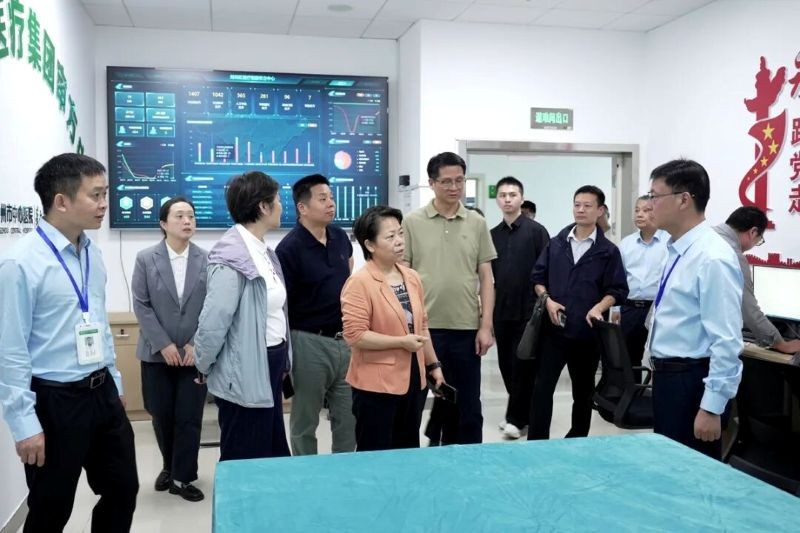荆州市副市长严红赴市中心医院调研"一张处方"运行并督导节前安全生产工作