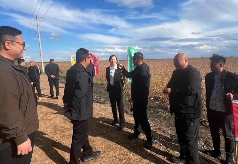黑龙江省宝清县七星河乡开展垦地合作单产提升现场观摩活动