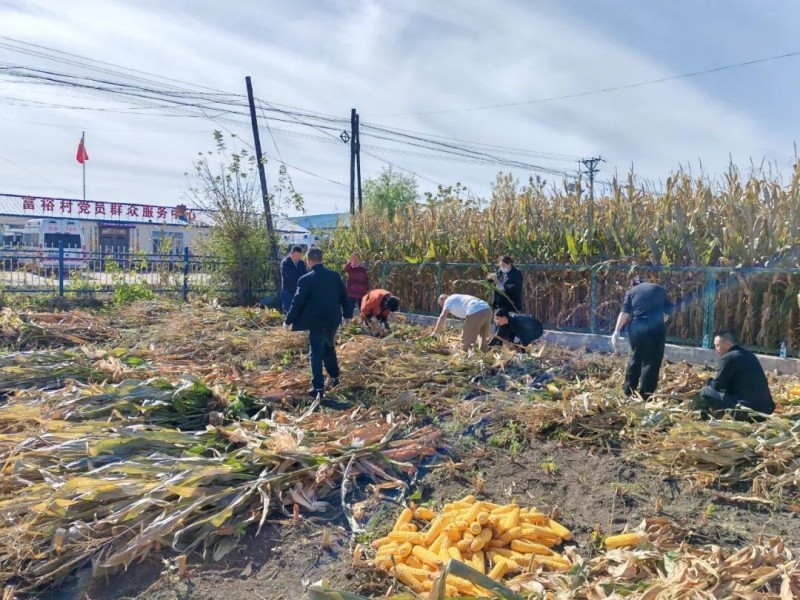 黑龙江省明水县人民医院：驻村帮扶到农户家，全力守护秋收季群众健康