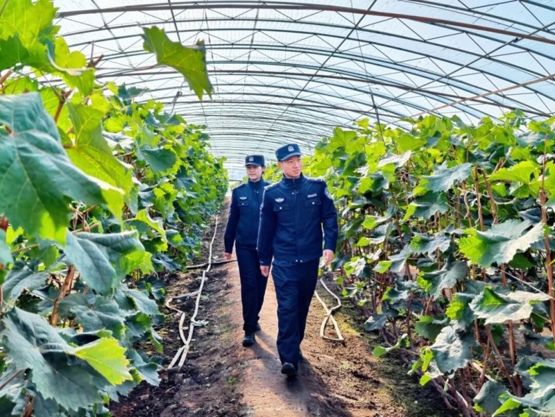 黑龙江佳木斯公安：“生态警务”绘就秋收好“丰”景