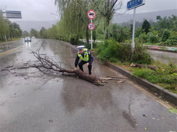 陕西省蓝田县公安局华胥派出所雨天紧急清理倒伏树枝消除道路隐患