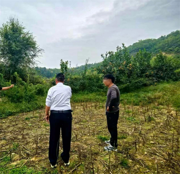 田间地头化纠纷 温情调解暖乡邻   陕西韩城法院芝川法庭成功联动化解邻里土地租赁、民间借贷纠纷