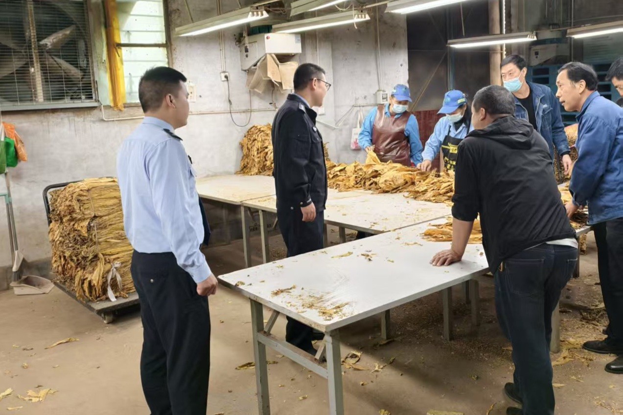 陕西旬阳：金秋护“金叶” 有“警”守丰收