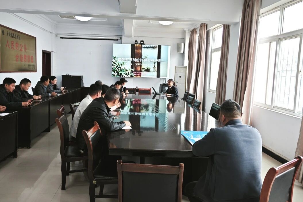 河南省栾川县法院潭头法庭"送法进网格"走进合峪镇